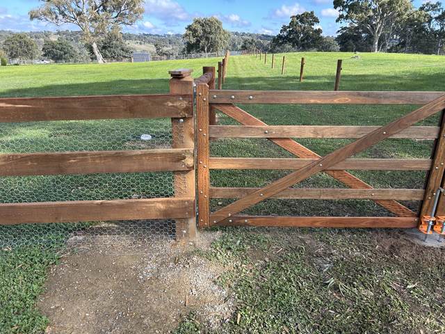 Paddock gate and post and rail with mesh