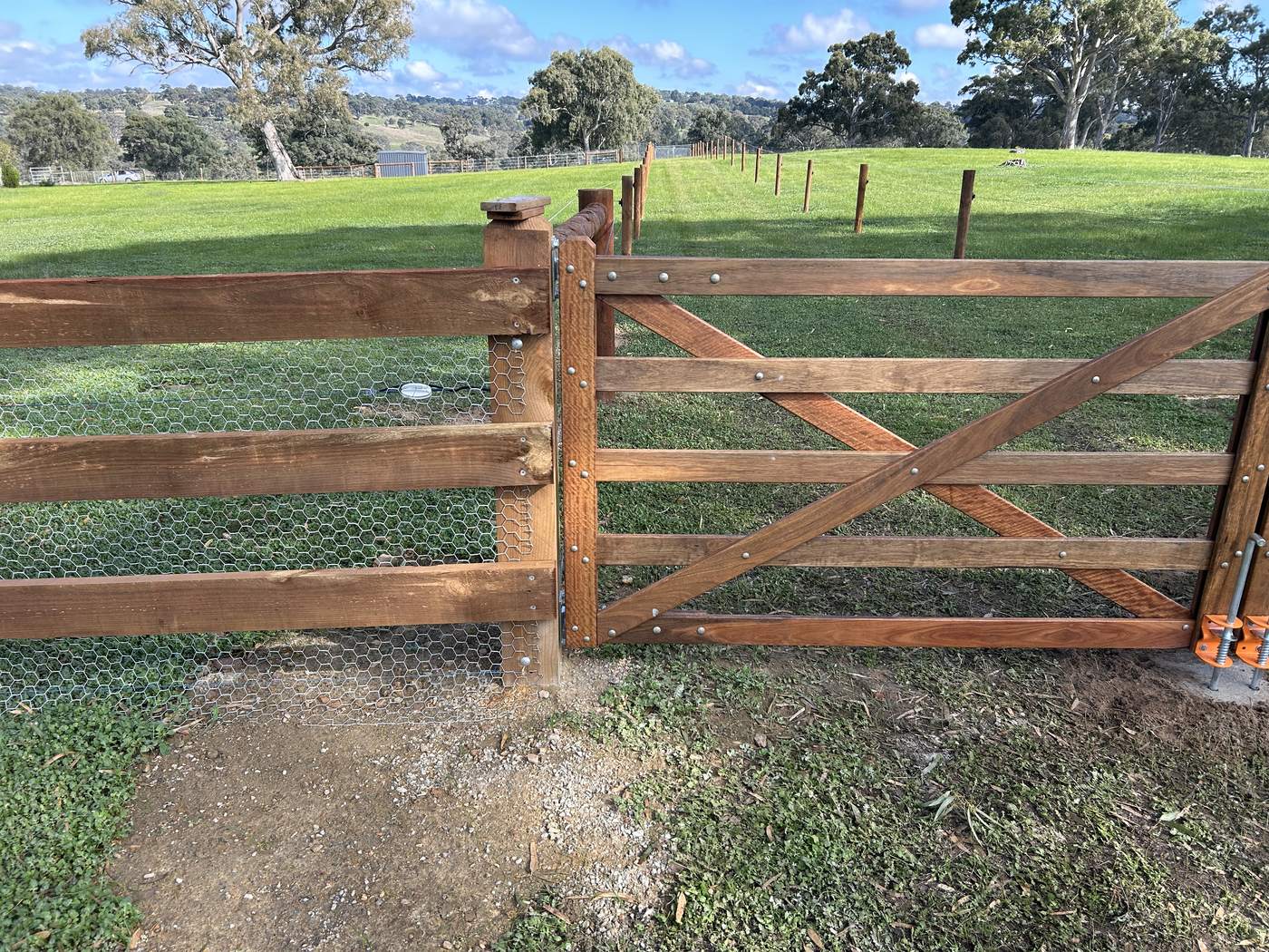 Paddock gate and post and rail with mesh