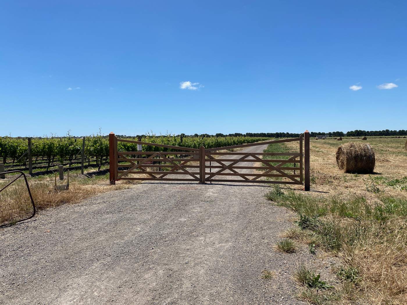 Timber farm gates on a vineyard track